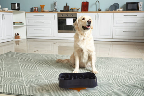 Marley Slowappy Slow Feeder Bowl - Dark Grey