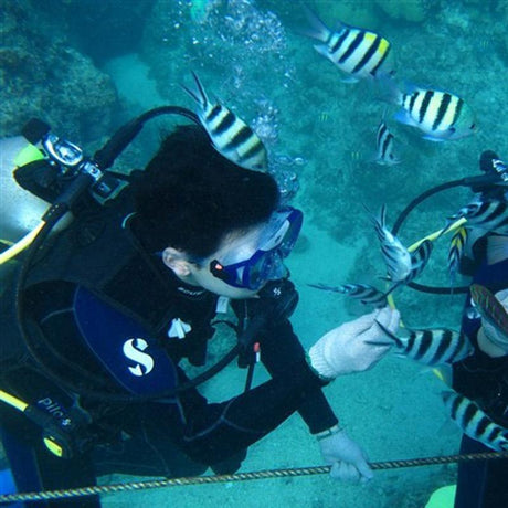Gopro-Compatible Diving Mask For Water Sports