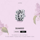 925 Sterling Silver Simple Seaweed Bead Bracelet / Necklace Set