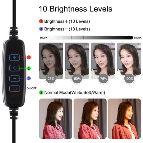 7.9 Dual-Colour Led Ring Light With Desktop Mount And Phone Clamp