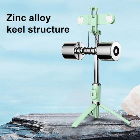 Bluetooth Remote Selfie Stick With Dual Fill Light And Tripod