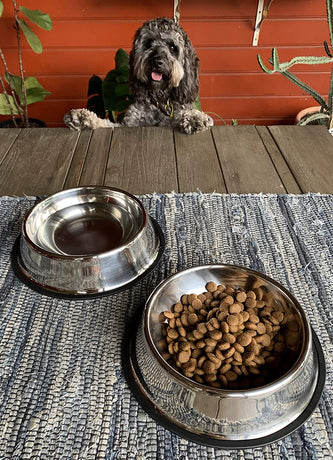 Stainless Steel Dog Bowl - Rust Resistant with Slip-Free Rubber Base, Puppy or Dog Bowl, Size Large One pack