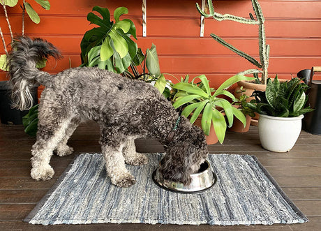 Stainless Steel Dog Bowl - Rust Resistant with Slip-Free Rubber Base, Puppy or Dog Bowl, Size Large One pack