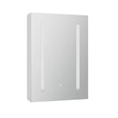 Bathroom Mirror Wall Cabinet LED Light Medicine Makeup Storage Shelves Organiser