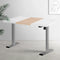 Artiss Standing Desk Electric Sit Stand Desks 120CM