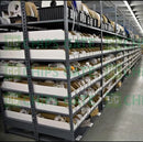 1 PCS New Factory Sealed AB 1747-ASB SER A SLC 500 Remote Adapter Module 1747ASB