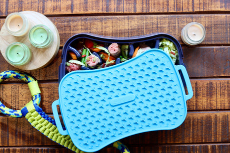 4-in-1 Slow Feeder Dog Bowl - Dark Grey Bowl with Blue Lickmat