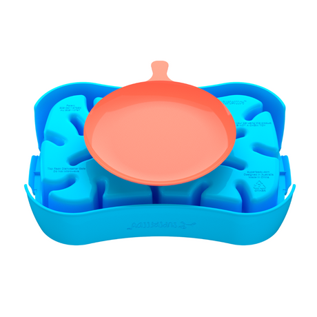 Marley Slowappy Slow Feeder  Bowl - Blue