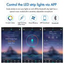 5V RGB LED Strip Lights IP65 Waterproof 5050 5M 10M 20M 300 LEDs USB Bluetooth