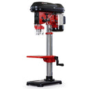 Baumr-AG DP15 600W 10" Pedestal Bench Drill Press, 12 Speeds, 16mm Chuck (DP15 II)