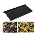 10x Beehive Plastic Frames Foundations Langstroth Bee Hive Deep Box Beekeeping