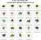 Intelligent Flower Pot, Electronic Bud, Maintenance Plant Assistant, Fun Interactive Flower Pot, Indoor Green Planting Monitoring, LCD Screen Display, Cell Phone APP Connection (Pink)