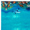Ashdene Set of 2 Playful Dolphins Cotton Kitchen Tea Towels 50 x 70 cm Reef Exploring