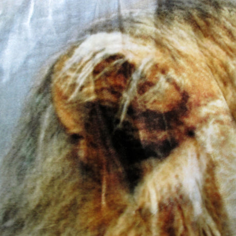 800GSM Luxury Reversible Animal Pattern Mink Blanket Queen 200 x 240 cm Lion Tiger Brown