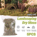 5pcs Natural Flower Grass Bedding Dried Moss Hamster Cage Decor Breeding Box