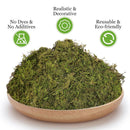 5pcs Natural Flower Grass Bedding Dried Moss Hamster Cage Decor Breeding Box