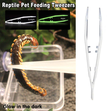 18cm Plastic Luminous Tweezer Feeding Tongs Straight for Reptile Feeder White