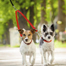 2 Way Double Dual Dog Leash Walk 2 Dogs With One Lead Coupler Nylon Harness - Blue