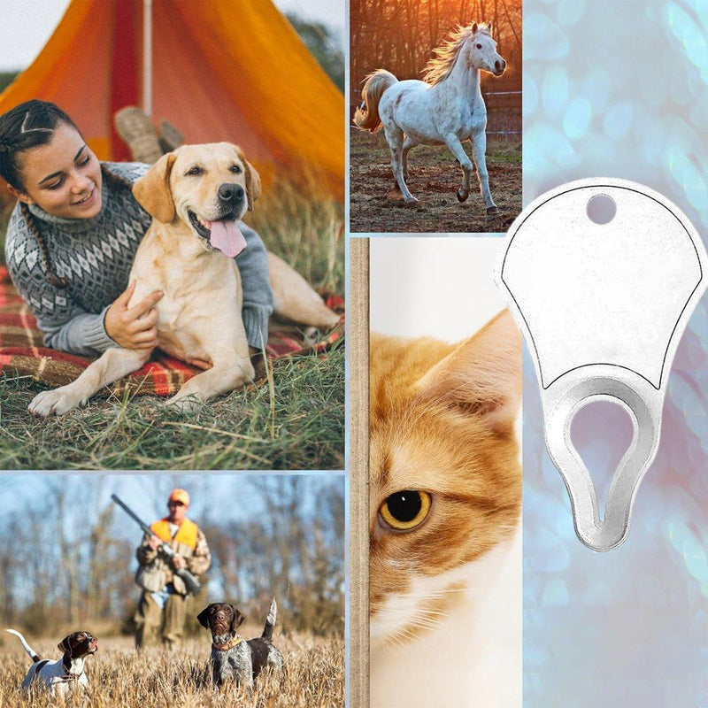 1PC Tick Removal Tool Pet Dog Lice Clip Cat Flea Removal Tool Tick Remover Tool - Silver