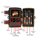 1080p Wildlife Hunting Camera with Night Vision for Outdoor Tracking