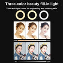48Leds Laptop Camera Beauty Ring Light - Clip Set 4-Inch