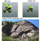 Adjustable Focus Fishing Binoculars - Glass Type 3 x 28