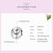 925 Sterling Silver Diy Zodiac Bracelet Beads Constellation Accessories Style - Aquarius