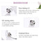 925 Sterling Silver Pet Paw Print Beaded Bracelet - Silver