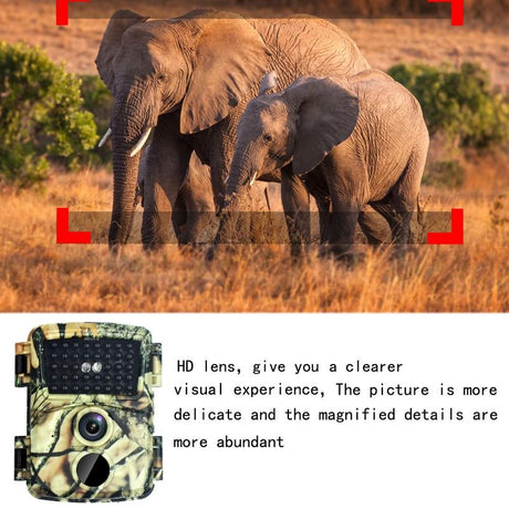 20mp Hd Infrared Hunting Camera with 38 Ir Lights