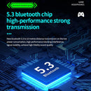 Wireless Gaming Earphones with Noise Reduction - Black