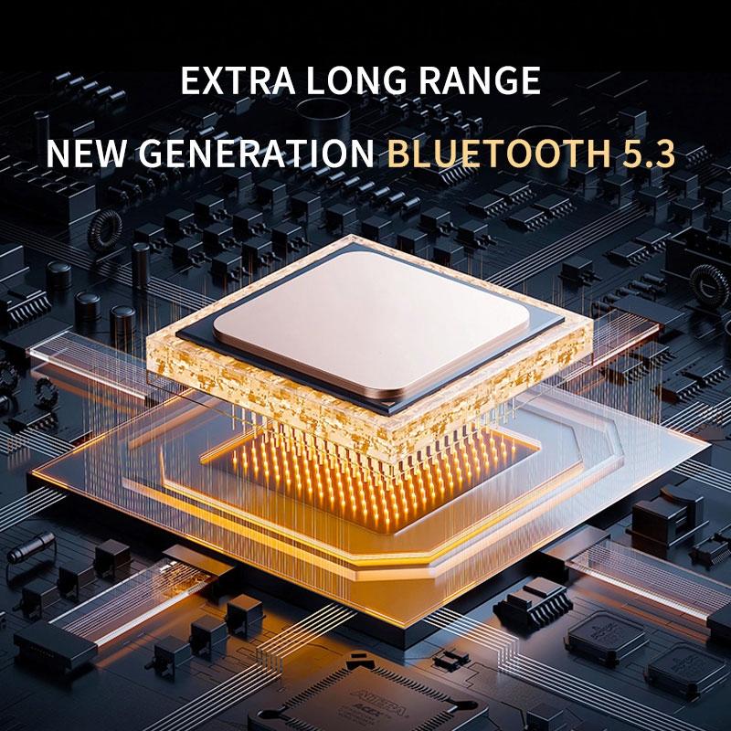 Wireless Stereo Earphones with Charging Case - Hanging Ear Design - Black