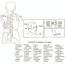 4-Piece Silicone Cupping Therapy Set For Body Massage - Blue