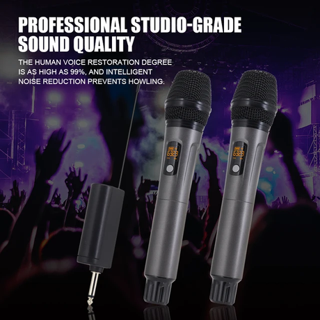 Hridz rechargeable UHF dual channel wireless microphone system for performances