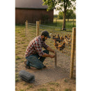 30m Black Chicken Wire Mesh Roll – Aviary & Garden Fencing