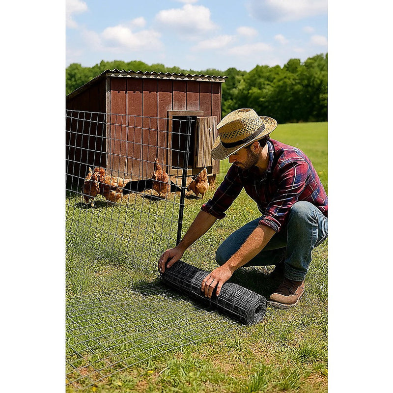 30m Black Chicken Wire Mesh Roll – Aviary & Garden Fencing