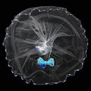 3m Nylon Fishing Cast Net – Quick Throw Mesh with Drawstring & Chain Bottom Weights