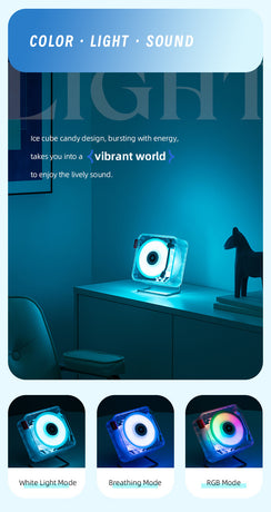 Black Retro Bluetooth Speaker - Transparent Vinyl Design with RGB Light