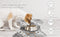 Brown And White Pet Feeding Mat 50x70cm - Anti-Slip, Durable Diatom Mud Mat for Dogs and Cats, Easy to Clean