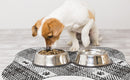 Green And White Pet Feeding Mat 50x70cm - Anti-Slip, Durable Diatom Mud Mat for Dogs and Cats, Easy to Clean
