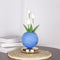 Blue And White Tulip Night Light with Realistic Bouquet - Dreamy Planet LED Mood Lamp for Bedroom Decor with 3-Color Touch Dimming