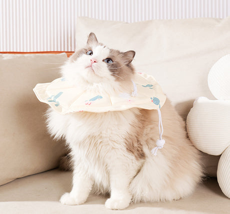 2 Pcs Size S Beige Comfortable Pet Recovery Collar | Waterproof Anti-Lick Collar for Cats & Dogs