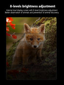 Red Professional HD Digital Night Vision Binoculars - 6X Optical Zoom, IR Illumination, Record 2.5K Video & 48MP Photos