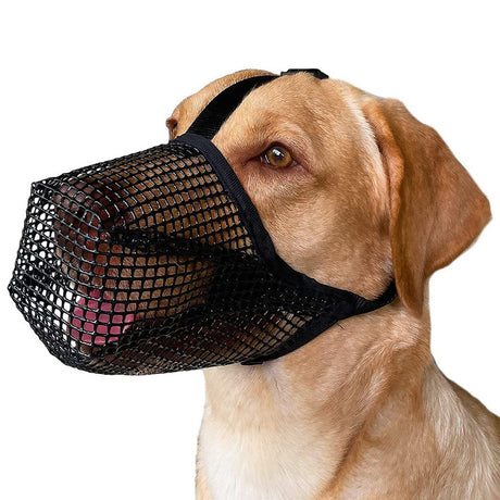 2 Pcs Size M Black Breathable Mesh Dog Muzzle - Anti-Barking, Biting & Chewing - Adjustable & Comfortable Nylon Muzzle for Dogs