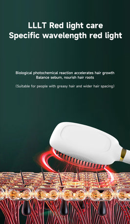 Black Advanced 3-in-1 Scalp & Hair Care Massage Comb - Red Light Therapy, EMS Microcurrent & Vibration for Healthy Hair Growth