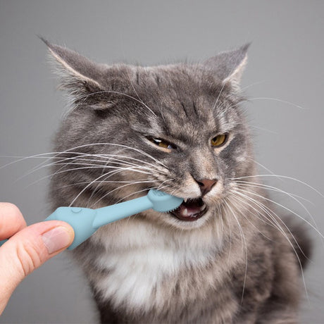 6 x Silicone Pet Toothbrush (3 Fish shape and 3 Bone shape) Beige Gentle Food-Grade Silicone Pet Toothbrush - Promotes Healthy Teeth & Gums for Dogs & Cats