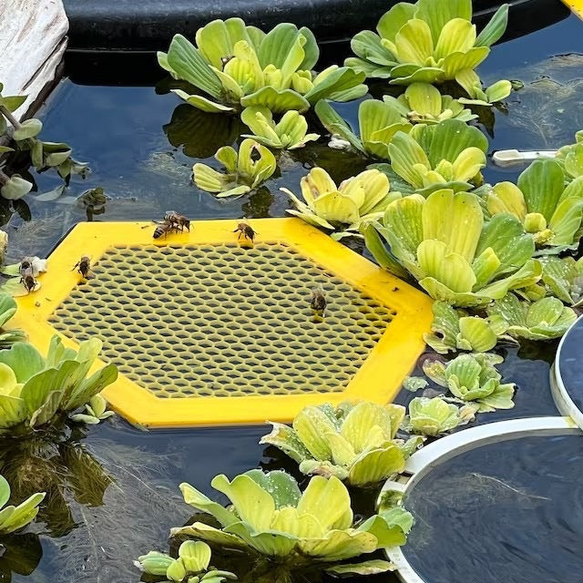 2PCS S 180x160x3mm Yellow Floating Bee Saver Waterer - Safe Drinking Platform for Garden Ponds & Bird Baths