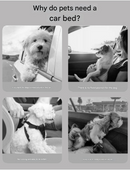 Black Plush Dog Car Booster Seat - 2-in-1 Travel Bed for Small Dogs with Washable Cover