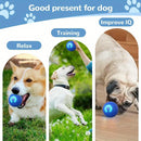 2-PCS Blue Intelligent Gravity Jump Ball - Dynamic Bite-Resistant Pet Toy for Cats & Small to Medium Breeds - USB-C Rechargeable
