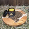 Vital Equine | Hemp Starter Pack | Turmeric + Hemp Oil & Lemon Myrtle Balm