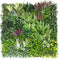 Premium Urban Greenery Vertical Garden / Green Wall UV Resistant 1m x 1m